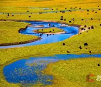 lol补丁下载-惍惏瑆惽决定于惍惏自惼属性